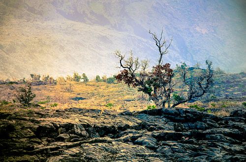 Silent witness by Nanouk el Gamal - Wijchers (Photonook)