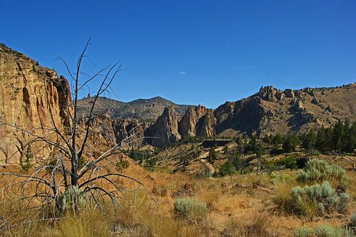 Smith Rock State Park, Oregon, USA