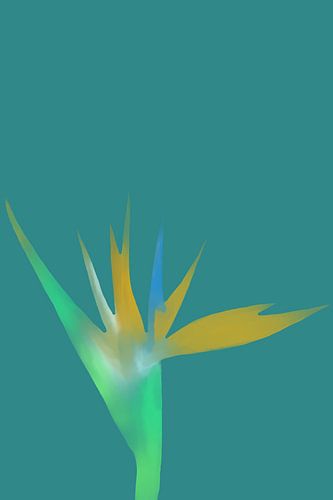 fleur de paradis sur MishMash van Heukelom