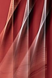 Rheinfelden 202501-V by Franco Tessarolo