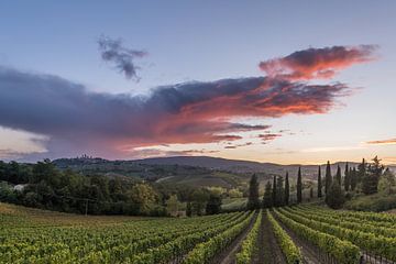 Zonsondergang over de wijngaarden bij San Gimignano
