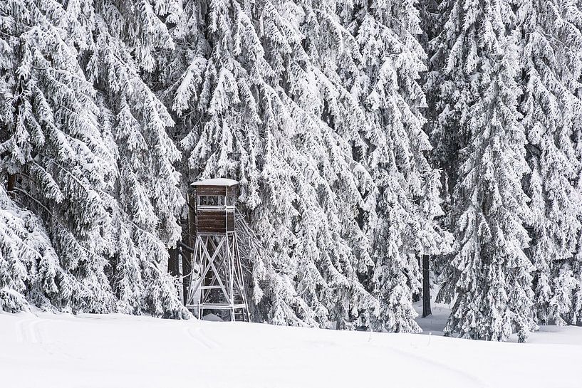 Paysage en hiver dans la forêt de Thuringe par Rico Ködder