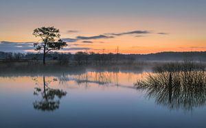 Sonnenaufgang in Drenthe