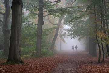 Walking your dog in the woods by Anges van der Logt