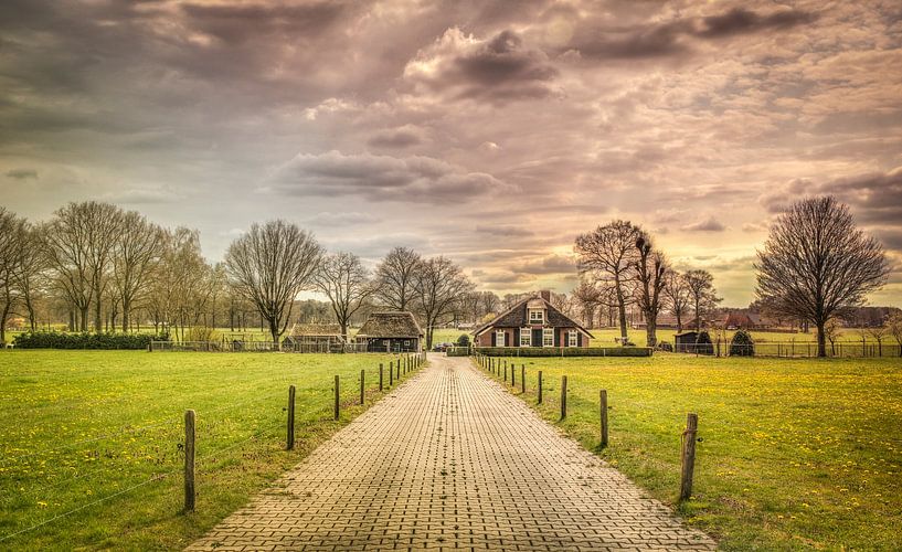 Bauernhaus in der Nähe des Veldwijk, Holten, der Niederlanden von Sven Wildschut