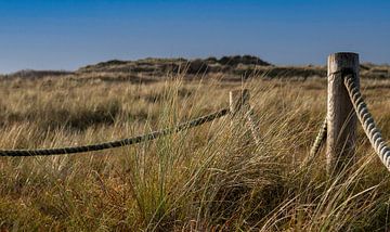 Le silence dans la zone des dunes sur Michel Knikker