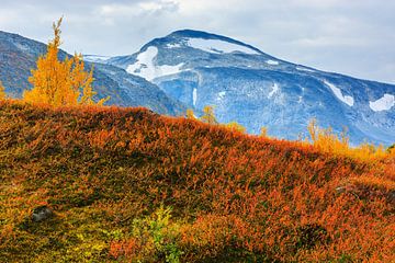 Herfst langs de Gamle Strynefjellsvegen, Noorwegen van Henk Meijer Photography