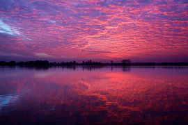 Haarrijnseplas, 18. Januar 2017 von Christiaan Krouwels