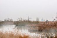 Kinderdijk met de windmolens in de mist van Brian Morgan thumbnail
