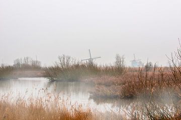 Kinderdijk met de windmolens in de mist van Brian Morgan