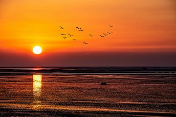 Sonnenuntergang über dem Wattenmeer von Thomas Riess