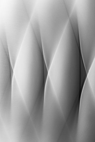 Rhythmic movement (II)