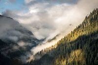 Ochtendnevel over de bossen in een Alpenvallei