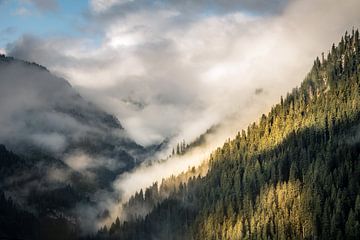 Brume matinale au-dessus des forêts dans une vallée alpine