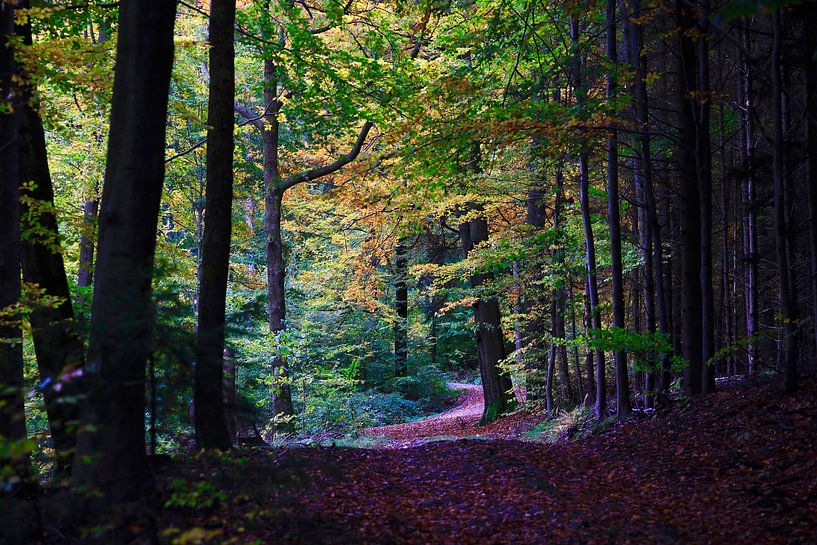 Goldener Oktober von Thomas Jäger