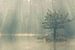 Zonnestralen in de mist van Raoul Baart