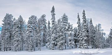 Aan de besneeuwde oever van het meer, Finland van Rietje Bulthuis