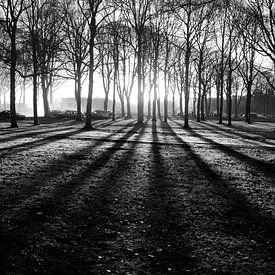 Zonsondergang tussen de bomen (Zwart-Wit) van Edwin Teuben