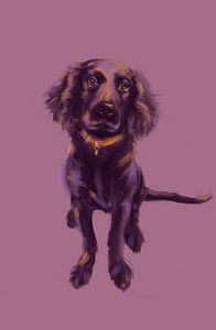 Chien Alex
