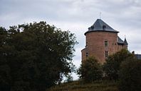 The Castle of Gaasbeek by Tuur Wouters thumbnail