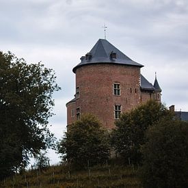 Das Schloss von Gaasbeek von Tuur Wouters