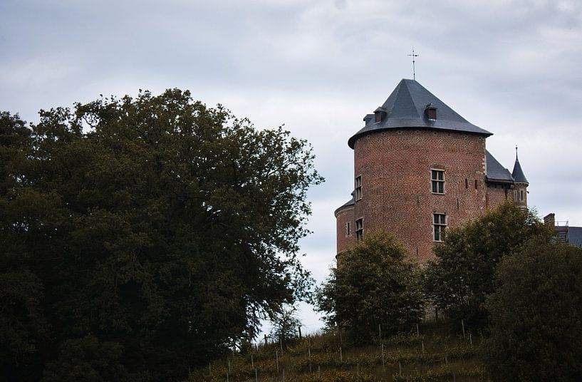 The Castle of Gaasbeek by Tuur Wouters