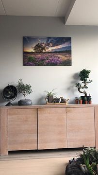 Customer photo: Flowering Heath by Martijn van Dellen