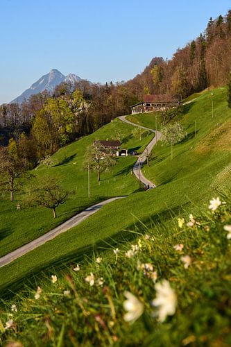 Giswil, Zwitserland - I