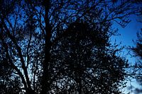 www.qkphotography.com