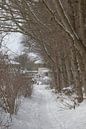 Modern landgoed in de sneeuw. van Hans Monasso thumbnail