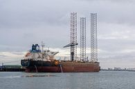 Zeeschip in de haven van Rotterdam van Janny Beimers thumbnail
