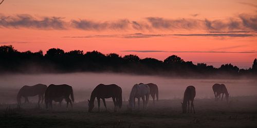 When night falls....