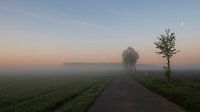 Pastelkleurige zonsopgang op een lenteochtend