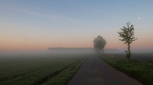 Pastel coloured sunrise