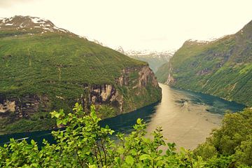 Fjorden in Noorwegen van Marleen De Wandeleer