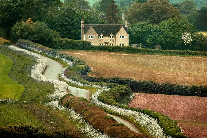 Kurvige Straße in England von Lars van de Goor