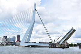 rotterdam