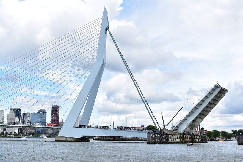 rotterdam von #FlashTag photography