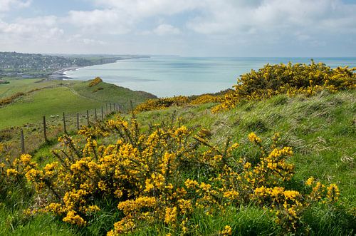 Views of Quiberville