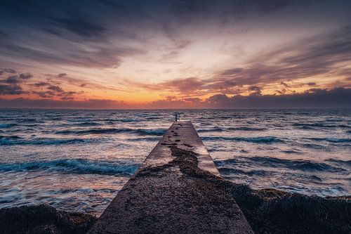 L'appel de l''e Horizon