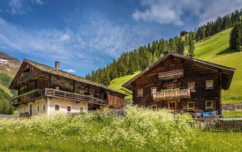 Sommerwiese und historische Bergbauernhöfe in Innervillgraten von Christian Müringer