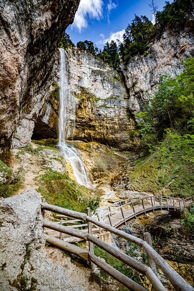 Casada di Trent van Freddy Hoevers