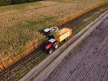Maize harvest from the air II by Nico van Maaswaal