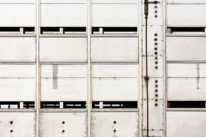 Cattle Truck