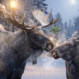 Winterkus onder de Maretak van Retrotimes