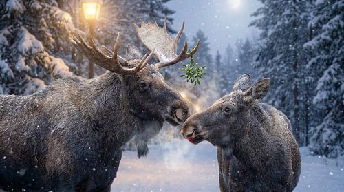 Winterkus onder de Maretak van Retrotimes