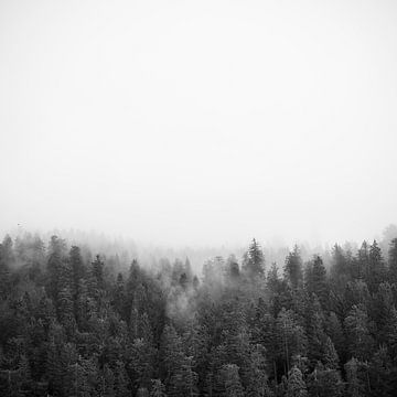 Black and white cloud forest – tranquil nature Photo art as wall art