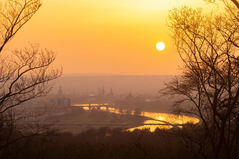 Dresden von Sylvio Dittrich
