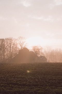 Farmhouse in the morning sun with fog in the countryside