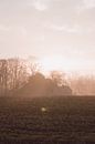 Boerderij in de ochtend zon met mist op het platteland van Robin van Steen thumbnail